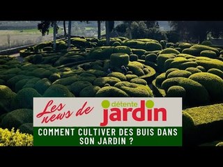 Jardins de Marqueyssac : Comment cultiver des buis dans son jardin ?