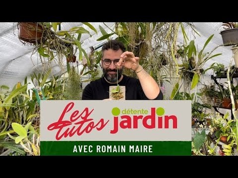 Les tutos Détente jardin ! Spécial orchidées : comment monter sur plaque mon orchidée ?