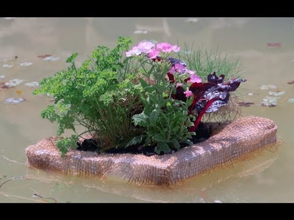 Créer un radeau végétal à laisser flotter sur un bassin