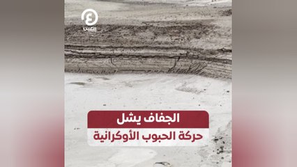 الجفاف يشل حركة الحبوب الأوكرانية