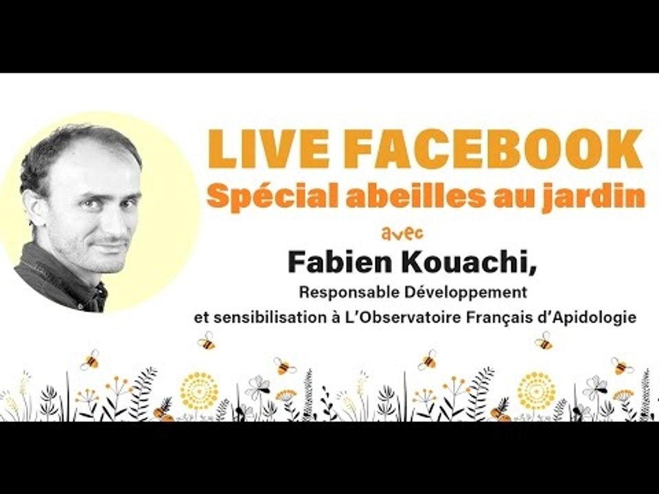 Protéger les abeilles du jardin : REPLAY LIVE FACEBOOK DÉTENTE JARDIN