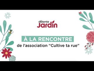 Sauvegarder les tomates avec l'association " Cultive ta rue "