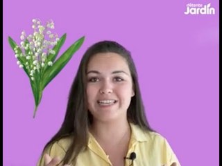 Le muguet du 1er mai : d'où vient la tradition ?