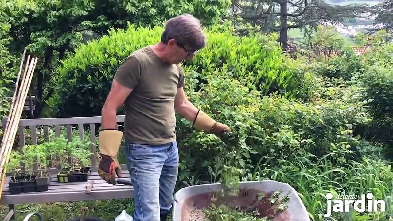 Plantation des tomates : préparation du sol