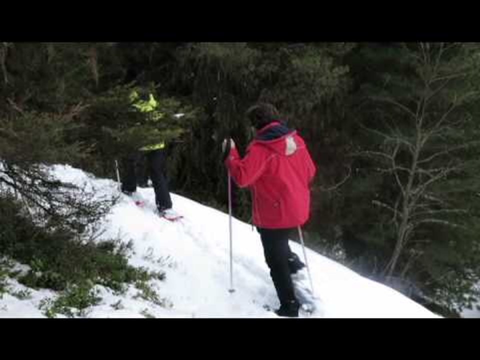 Balade en raquettes à La Tania