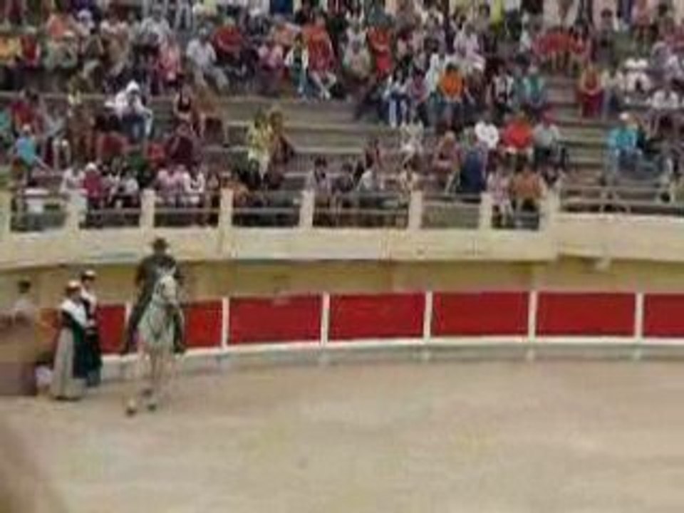 saintes marie de la mer, feria