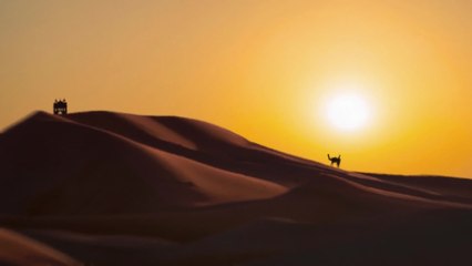 The Police - Tea In The Sahara (Visualiser)