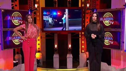 Los Pequeños Delincuentes