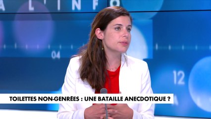 Charlotte d'Ornellas : «C'est un mélange entre le wokisme et le socialisme radical»