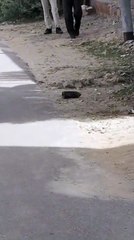 नींव की खुदाई में निकला सेना का जिंदा बम, हड़कम्प मचा