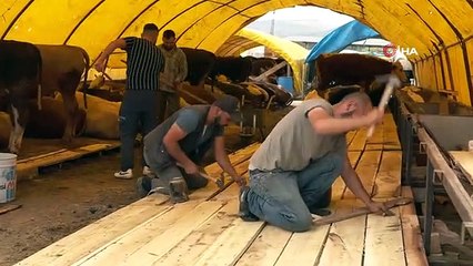 Yenimahalle, Kurban Bayramı'na hazırlanıyor