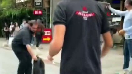 Kadıköy'de yavrusunu korumak isteyen anne karga esnafa zor anlar yaşattı! Çareyi motosiklet kaskı takmakta buldu