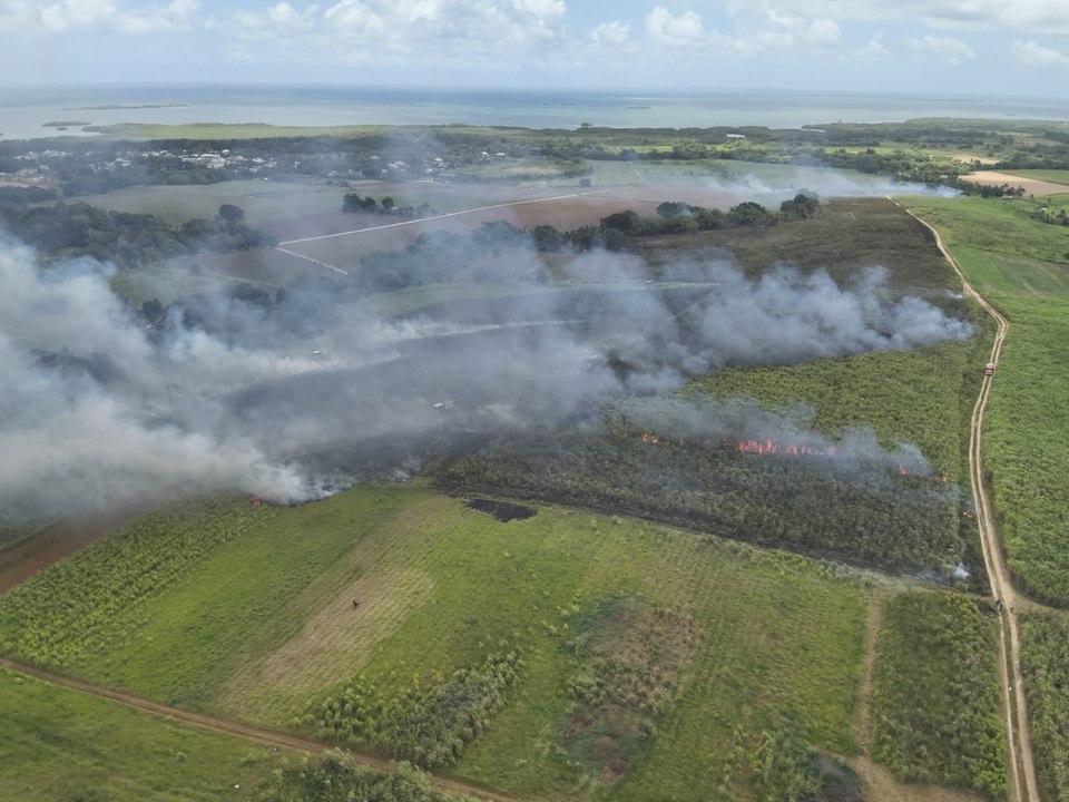 Feu de champs de cannes à Sainte-Rose