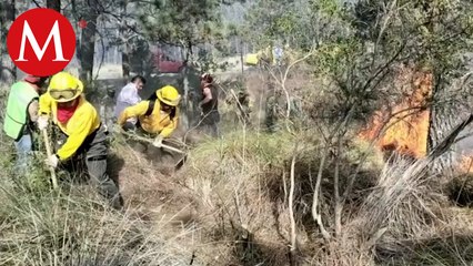 En Veracruz, incendio forestal en Vigas de Ramírez abarca 10 hectáreas