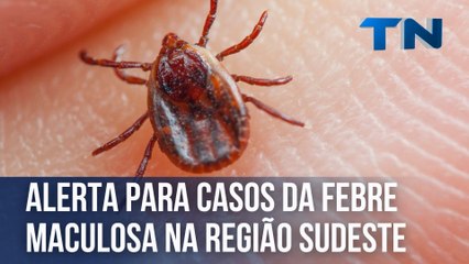 Alerta para casos da febre maculosa na região sudeste