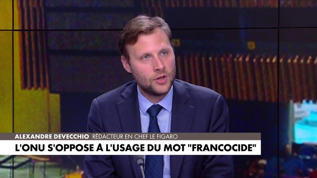 Alexandre Devecchio : «L'ONU devrait faire autre chose»
