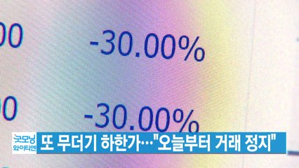 [YTN 실시간뉴스] 또 무더기 하한가..."오늘부터 거래 정지" / YTN