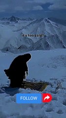 نمازِ کسی بھی طرح معاف نہیں