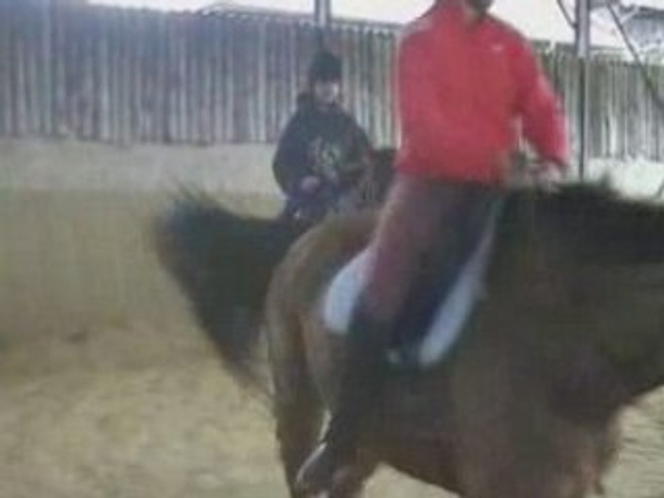 Séance mise en selle