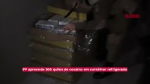 PF apreende 300 quilos de cocaína em contêiner refrigerado