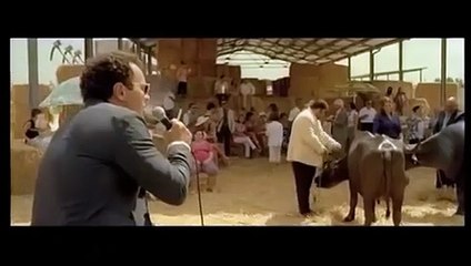 Mozzarella Stories | movie | 2011 | Official Trailer