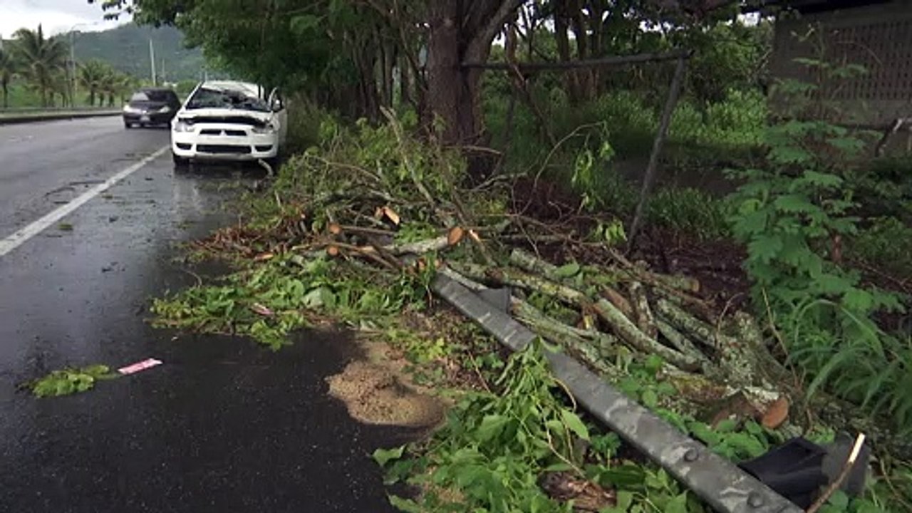 TREE FALLS, TWO INJURED