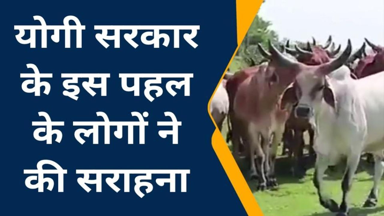 वाराणसी: यूपी सरकार ने पशुओं की मुफ्त उपचार के लिए जारी किया टोल फ्री नंबर