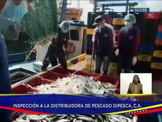 Sucre | Planta Dipesca procesa sardinas frescas para ser distribuidas en el mercado nacional