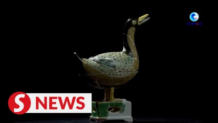500-year-old "Duck" embraces the spotlight