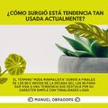 |MANUEL OBRADORS| ¿CÓMO SURGIÓ ESTA TENDENCIA TAN USADA ACTUALMENTE? (PARTE 1) (@MANUELOBRADORS)