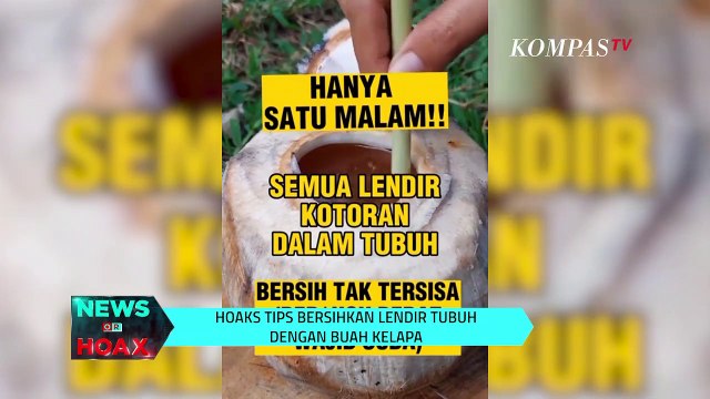 Air Kelapa Muda Bersihkan Lendir Dalam Tubuh | NEWS OR HOAX