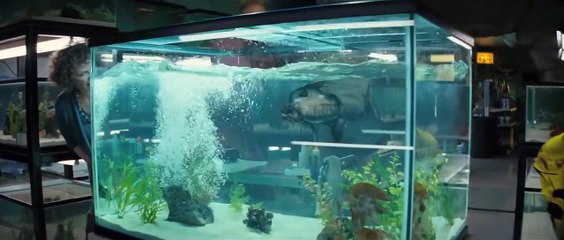 Piranha 3D Bande-annonce (EN)