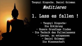 1. Lass es fallen! - Meditieren - Tsognyi Rinpoche, Daniel Goleman)