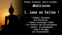 1. Lass es fallen! - Meditieren - Tsognyi Rinpoche, Daniel Goleman)