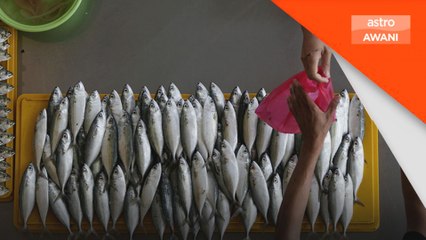 Harga ikan naik, cuaca semasa jadi punca