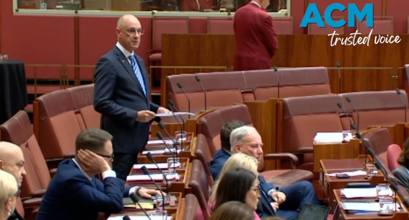 'Concocted from the beginning': Senator David Van denies Lidia Thorpe's allegations