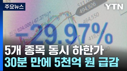 5개 종목 동시 하한가...금융당국 "거래 정지" / YTN