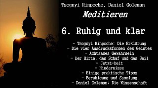 6. Ruhig und klar - Meditieren - Tsognyi Rinpoche, Daniel Goleman