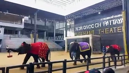 My Thailand Trip 2023