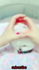 Fun with dog funny cats