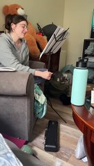 What It's Like to Play the Flute When You Have Cats