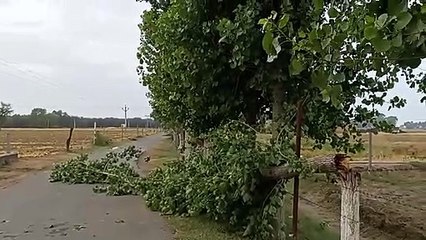 Civil defense volunteer team deployed for storm protection in the district