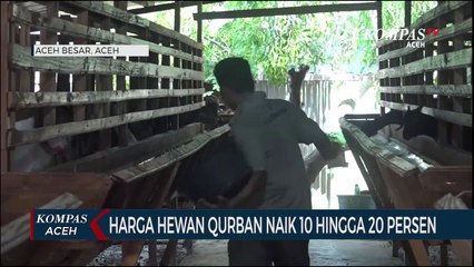 Jelang Idul Adha Harga Hewan Qurban Naik 10 Hingga 20 Persen