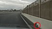 Kitten on highway saved by police officer in Las Vegas
