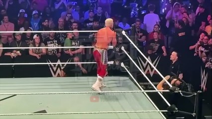 Cody Rhodes talks about The Usos during WWE Live Show!