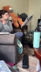 What It's Like to Play the Flute When You Have Cats