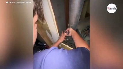 Un chaton tombe dans un tuyau de climatisation  4M de personnes sont anxieuses devant son sauvetage-index