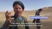 Afghan farmers despair as locusts plague precious crops
