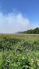 Wildfire breaks out in Prestwick