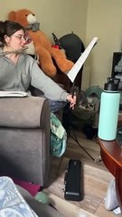 What It's Like to Play the Flute When You Have Cats